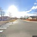 Animal complaint at Lindenwood Avenue intersection