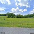 Loose calves reported on Simpson Road