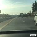 Report of gray BMW sedan on westbound 78