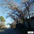 Disturbance reported at Willowwood Street apartment
