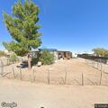 Loose dogs reported on Prickly Pear Drive