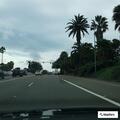 Person with breathing problems at In-N-Out Burger