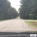 Tree blocking lane on Brookside Lane at McIntosh Road
