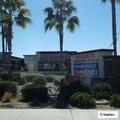 Reckless driver swerving near Alma School and Ray