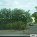 Alarm sounding at managed resort in Phoenix