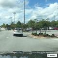 Officer conducts traffic stop behind store