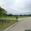 Loose livestock reported on Rollingwood Road