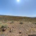 Incident reported at McDowell Mountain campground