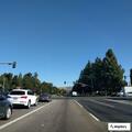 person bitten at Bryan Ave and Culver Dr intersection