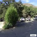 Helicopter checks report of smoke near forest station