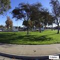 Intoxicated person reported on Magnolia Street