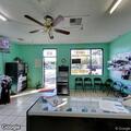 Intoxicated person behind laundromat