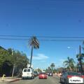 Suspicious gray SUV at bus stop on Olive Avenue