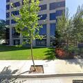 Medical aid dispatched to Pollak Executive Tower in Orange