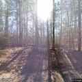 Smoke from controlled burn near Freeman Creek Road
