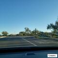 Person with altered consciousness at North Scottsdale Road