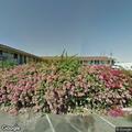 Intoxicated person in front of Jade Palace Motel