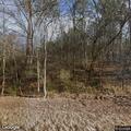 Brush fire reported on Empire Road in Empire