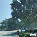 Reported crash determined to be no collision