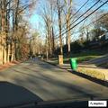 Tree blocking roadway on Woodrow Way
