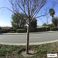 Person injured in fall near Yorba Linda