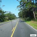 Alligator reported in road on East Oak Island Drive