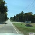 Trees blocking lane on Ridge Spring Highway