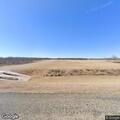 Loose cattle creating traffic hazard on FM 368