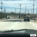 Single-car crash on East Lincoln Boulevard