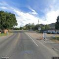 Loose dog in roadway at Oak and Wood Avenue