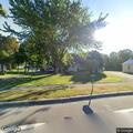 Loose brown dog reported on Hinsdale Road
