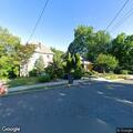 Dead animal in roadway on Leonia Avenue