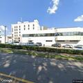 Geriatric patient injured in fall with facial fractures