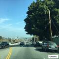 Brush fire on Soto Street controlled by fire engines