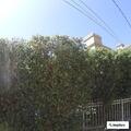 Silent alarm at Stanley Hills Drive home