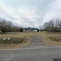 Puppies abandoned at Spring Hill Road home