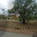 Neighbors dispute over trees on shared property