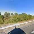 Vehicle hits bear on I-40 near mile marker 19