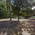 Tree limb blocking part of Harris Springs Road
