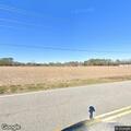 Deer causes road hazard on SC 41 Alternate