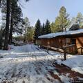 Person injured in fall from tree at Payson camp