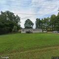 Loose cow on County Road 44 roadway