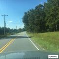 Car and deer crash on Baby Road, no injuries