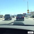 Report of woman dragging unresponsive dog on street