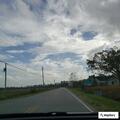 Woman walking in traffic on NC 50 near NC 41