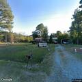 Resident reports dogs causing disturbance