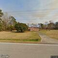 Stray animal reported on Temples Point Road