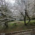 Home alarm and motion light reported on Marvin Lane