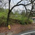 Broken tree limb creating road hazard
