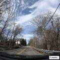 Fallen tree blocks Fleetwood Dr on Lookout Mountain